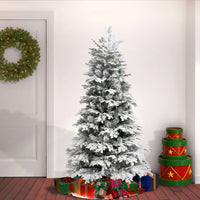 6 ft. Acacius Snowy Tree - National Tree Company