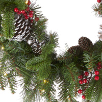 24 in. Pre-Lit Bristle Berry Wreath with LED Lights - National Tree Company