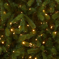 9 ft. Pre-Lit Bayberry Spruce Tree with PowerConnect Dual Color LED Lights - National Tree Company