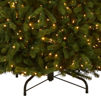 9 ft. Pre-Lit Bayberry Spruce Tree with PowerConnect Dual Color LED Lights - National Tree Company