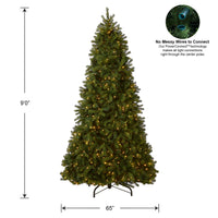 9 ft. Pre-Lit Bayberry Spruce Tree with PowerConnect Dual Color LED Lights - National Tree Company