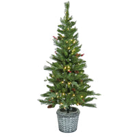 Pre-Lit Buzzard Pine Assortment Set of 1 Entrance Tree, 1 Wreath, 1 Garland, Plug-In - National Tree Company