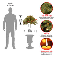 18 in. Colonial Fir Urn Filler with LED Lights - National Tree Company