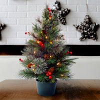 2 ft. Pre-Lit Colonial Fir Tree with Warm White LED Lights - National Tree Company