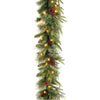 9 ft. Pre-Lit Colonial Fir Garland with Dual Color LED Lights - National Tree Company