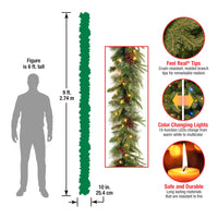 9 ft. Pre-Lit Colonial Fir Garland with Dual Color LED Lights - National Tree Company