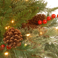 24 in. Pre-Lit Colonial Fir Wreath with Dual Color LED Lights - National Tree Company