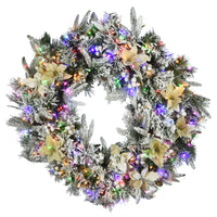 30 in. Pre-Lit Frosted Colonial Fir Wreath with Dual Color LED Cosmic Lights - National Tree Company