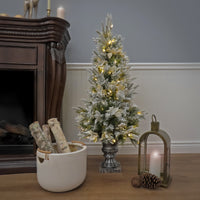 4 ft. Pre-Lit Frosted Colonial Fir Tree with Warm White LED Lights - National Tree Company