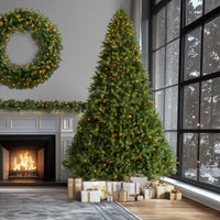12 ft. Pre-Lit Downswept Douglas Fir Tree with Clear Lights, Plug-In - National Tree Company