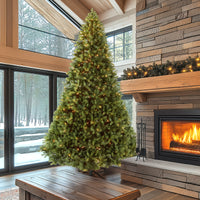 12 ft. Pre-Lit Downswept Douglas Fir Tree with Clear Lights, Plug-In - National Tree Company