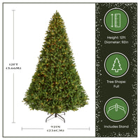 12 ft. Pre-Lit Downswept Douglas Fir Tree with Clear Lights, Plug-In - National Tree Company