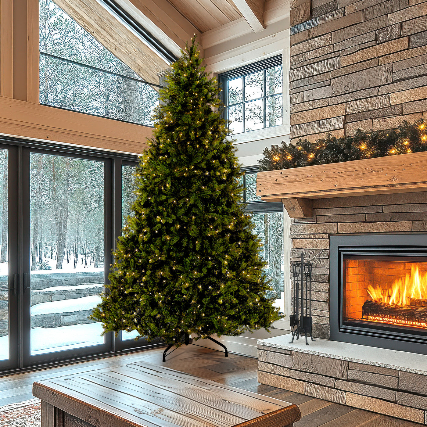 12 ft. Pre-Lit Downswept Douglas Fir Tree with Clear Lights - National Tree Company