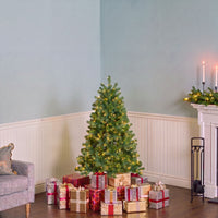 4.5 ft. Pre-Lit Downswept Douglas Fir Hinged Tree with Clear Lights, Plug-In - National Tree Company