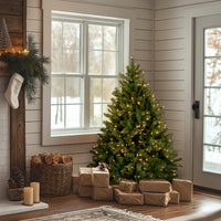 4.5 ft. Pre-Lit Downswept Douglas Fir Tree with Clear Lights - National Tree Company