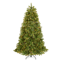 6.5 ft. Pre-Lit Downswept Douglas Fir Tree with Clear Lights - National Tree Company