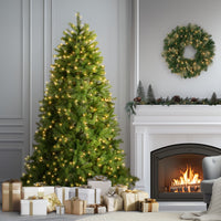6.5 ft. Pre-Lit Downswept Douglas Fir Tree with Clear Lights - National Tree Company