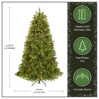 6.5 ft. Pre-Lit Downswept Douglas Fir Tree with Clear Lights - National Tree Company
