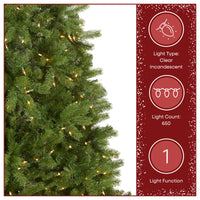 6.5 ft. Pre-Lit Downswept Douglas Fir Tree with Clear Lights - National Tree Company