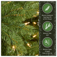 6.5 ft. Pre-Lit Downswept Douglas Fir Tree with Clear Lights - National Tree Company