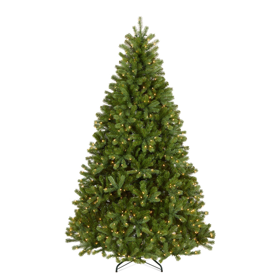 7 ft. Pre-Lit Downswept Douglas Fir Hinged Tree with Clear Lights, Plug-In - National Tree Company