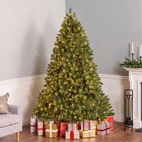 7 ft. Pre-Lit Downswept Douglas Fir Hinged Tree with Clear Lights, Plug-In - National Tree Company