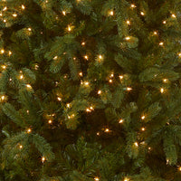 7 ft. Pre-Lit Downswept Douglas Fir Tree with Clear Lights - National Tree Company