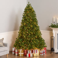 7.5 ft. Pre-Lit Downswept Douglas Fir Tree with 750 Clear Lights & 1867 Branch Tips - National Tree Company