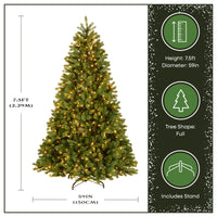 7.5 ft. Pre-Lit Downswept Douglas Fir Tree with 750 Clear Lights & 1867 Branch Tips - National Tree Company