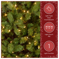 7.5 ft. Pre-Lit Downswept Douglas Fir Tree with 750 Clear Lights & 1867 Branch Tips - National Tree Company