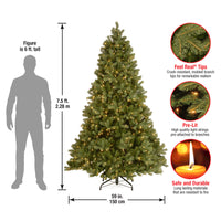 7.5 ft. Pre-Lit Downswept Douglas Fir Tree with 750 Clear Lights & 1867 Branch Tips - National Tree Company