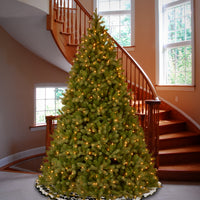 10ft. Pre-Lit Downswept Douglas Fir Tree with Dual Color LED Lights - National Tree Company