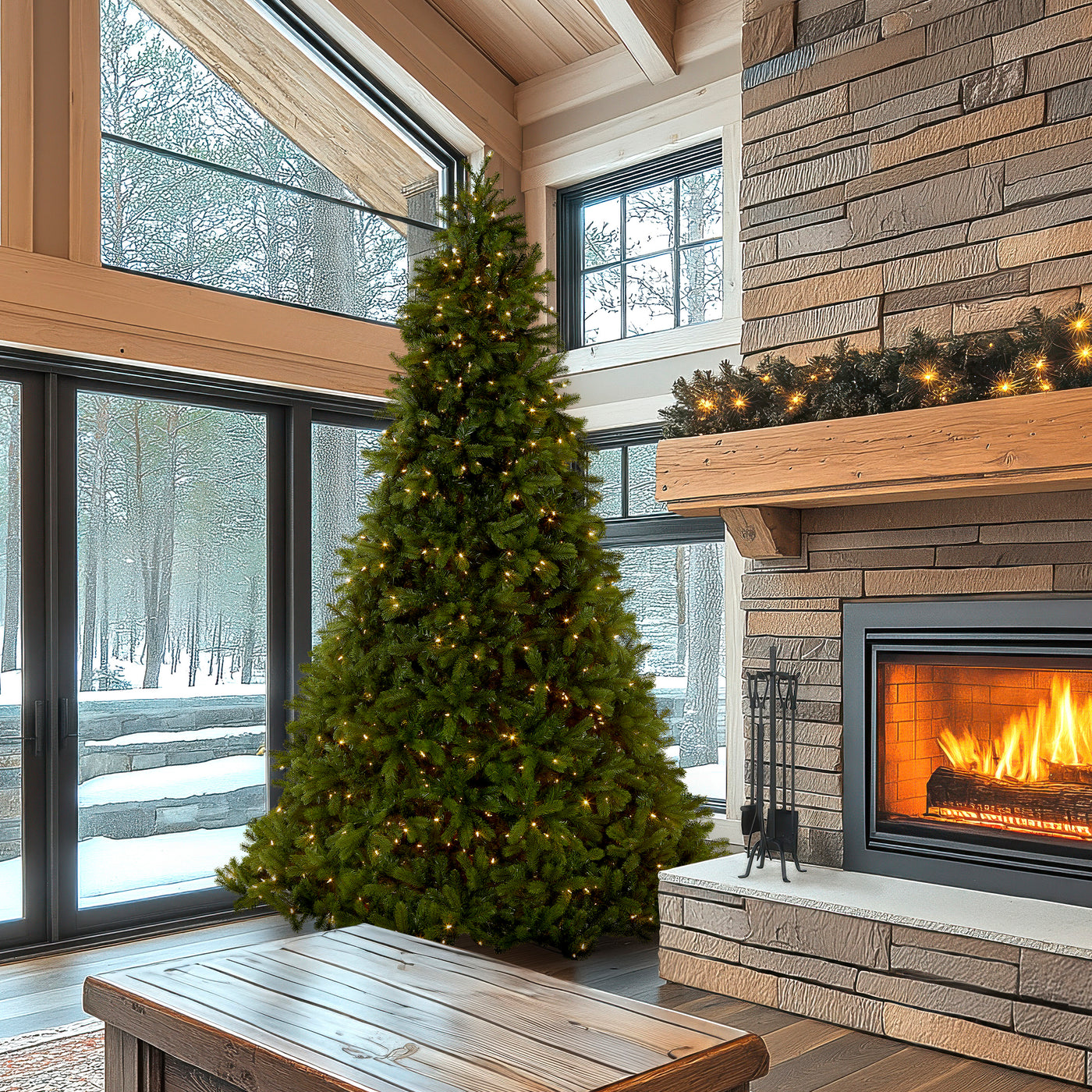10 ft. Pre-Lit Downswept Douglas Fir Tree with Dual Color LED Lights - National Tree Company