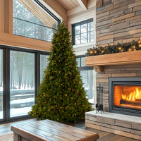10 ft. Pre-Lit Downswept Douglas Fir Tree with Dual Color LED Lights - National Tree Company