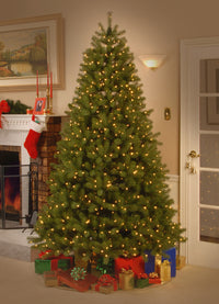 7.5 ft. Pre-Lit Downswept Douglas Fir Tree with Dual Color LED Lights - National Tree Company