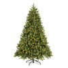 7.5 ft. Pre-Lit Downswept Douglas Fir Hinged Tree with Dual Color LED Lights, Plug-In - National Tree Company