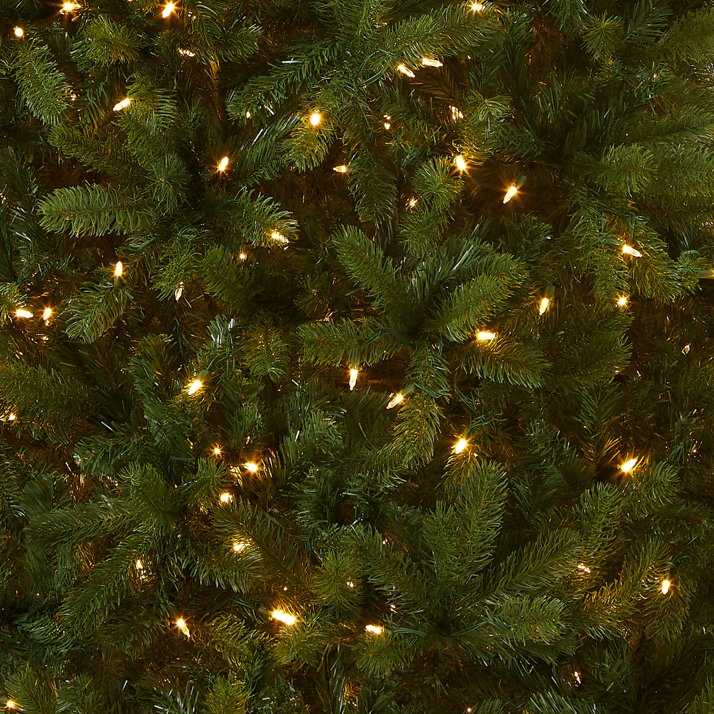 7.5 ft. Pre-Lit Downswept Douglas Fir Tree with Dual Color LED Lights - National Tree Company