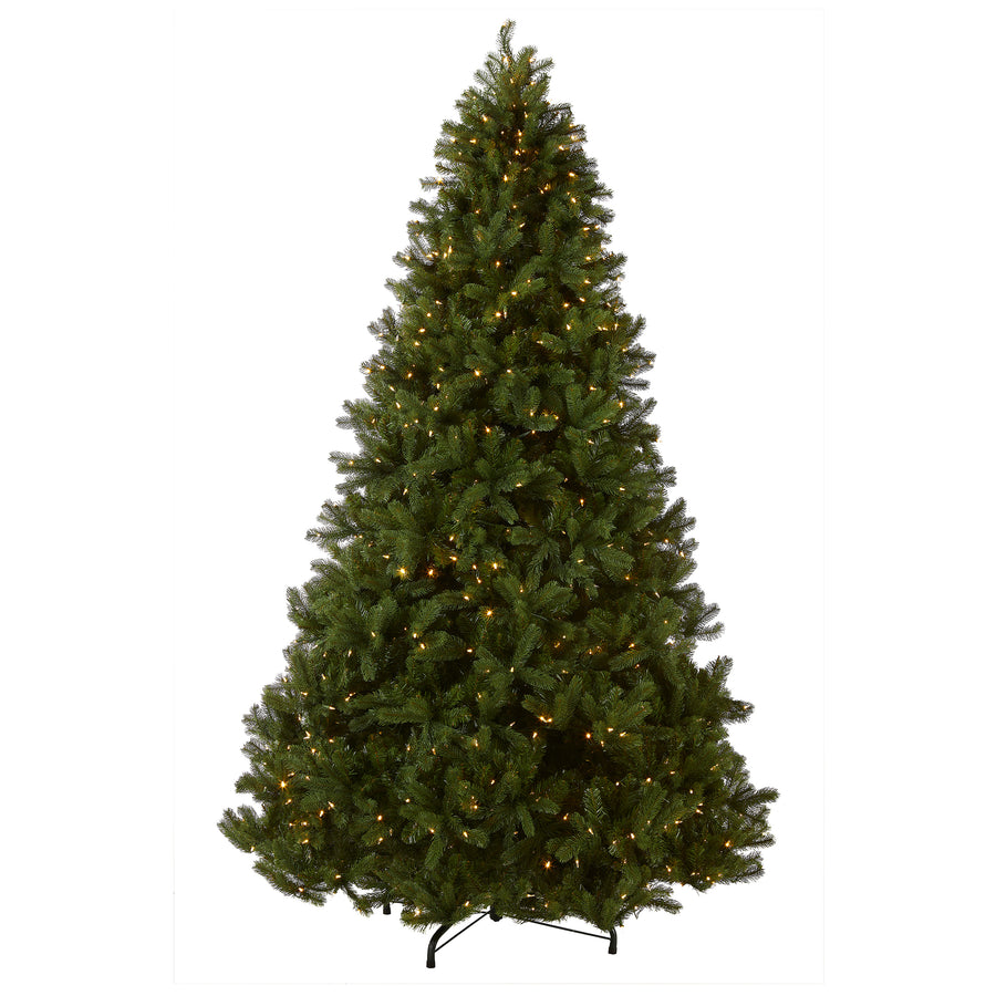 9 ft. Pre-Lit Downswept Douglas Fir Tree with Dual Color LED Lights, Plug-In - National Tree Company