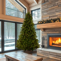 9 ft. Pre-Lit Downswept Douglas Fir Tree with Dual Color LED Lights, Plug-In - National Tree Company