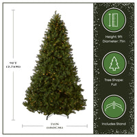 9 ft. Pre-Lit Downswept Douglas Fir Tree with Dual Color LED Lights, Plug-In - National Tree Company