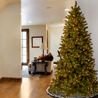 4.5 ft. Pre-Lit Downswept Douglas Fir Slim Tree with Clear Lights - National Tree Company