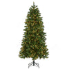 6.5 ft. Pre-Lit Downswept Douglas Fir Slim Tree with Clear Lights - National Tree Company