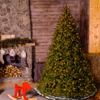 10 ft. Pre-Lit Douglas Fir Giant Tree with Warm White LED Lights - National Tree Company