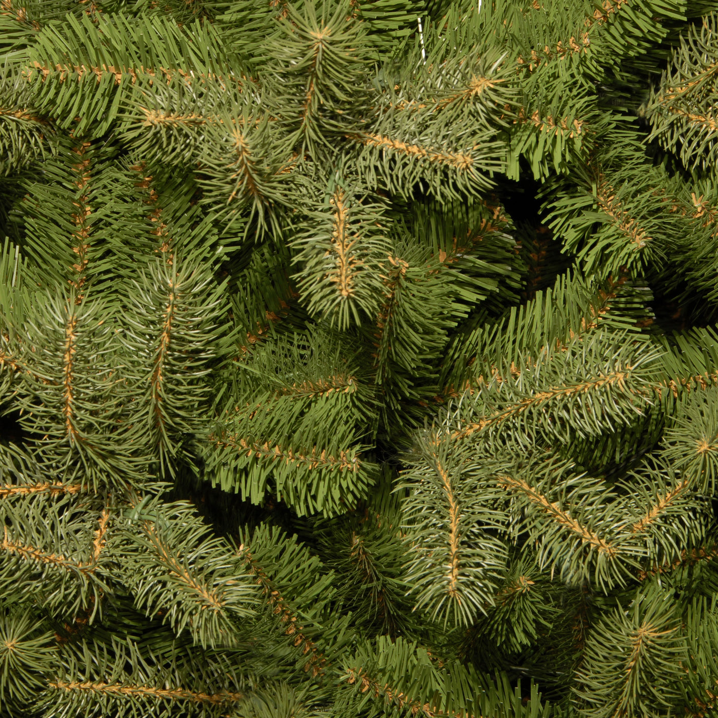 7 ft. Downswept Douglas Fir Tree - National Tree Company