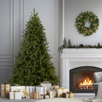 7 ft. Downswept Douglas Fir Tree - National Tree Company