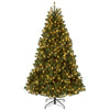 6.5 ft. Pre-Lit Downswept Douglas Fir Hinged Tree with Dual Color LED Lights, Plug-In - National Tree Company