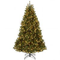 6.5 ft. Pre-Lit Downswept Douglas Fir Hinged Tree with Dual Color LED Lights, Plug-In - National Tree Company