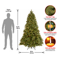 6.5 ft. Pre-Lit Downswept Douglas Fir Tree with Dual Color LED Lights, Plug-In - National Tree Company