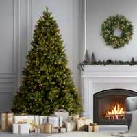 6 ft. Pre-Lit Downswept Douglas Fir Tree with Clear Lights, Plug-In - National Tree Company