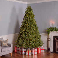 9 ft. Pre-Lit Downswept Douglas Fir Hinged Tree with Dual Color LED Lights, Plug-In - National Tree Company
